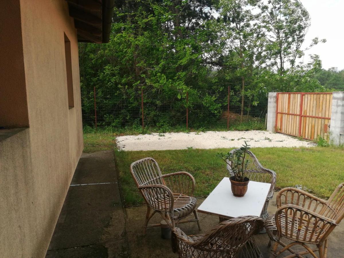 Vizaknai Apartmanhaz Székesfehérvár Exterior foto